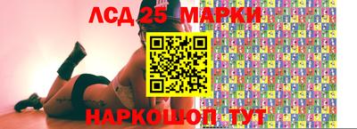 СК Сланцы
