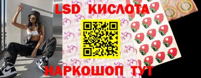 прущие грибы Славгород