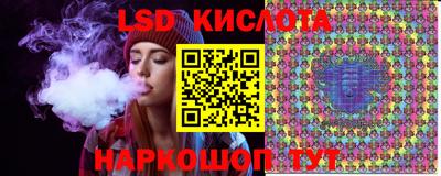 СК Сланцы