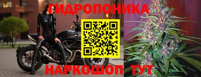 прущие грибы Славгород
