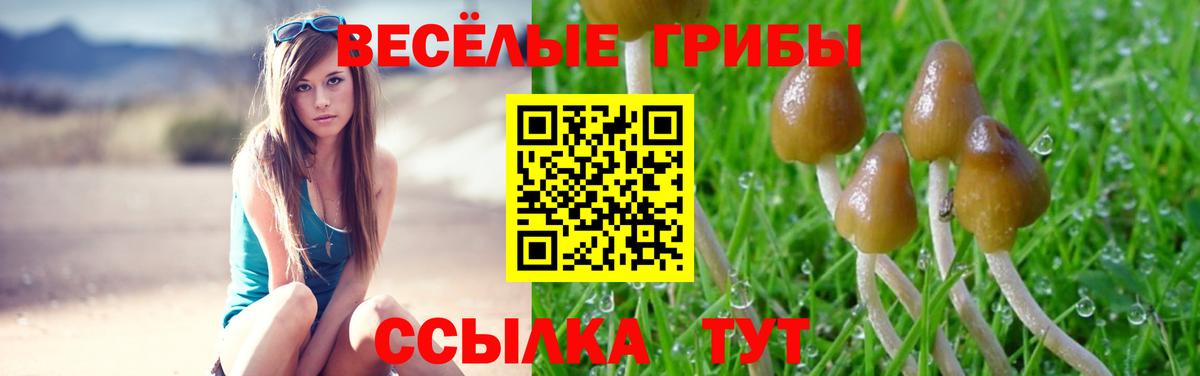 Галлюциногенные грибы прущие грибы Родники